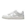 Nike Dunk Anti Slip Wear Resistant Low Top Kids' Skateboarding Shoes Green FB9109-124