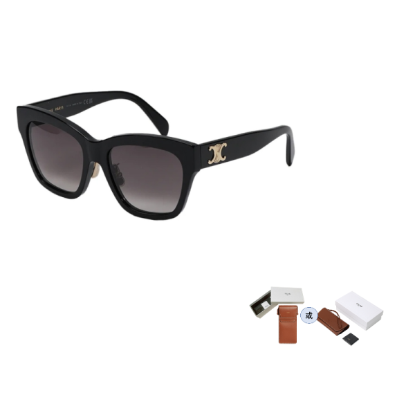 CELINE Eyewear Triomphe Cat Eye Sunglasses CL40253F01F