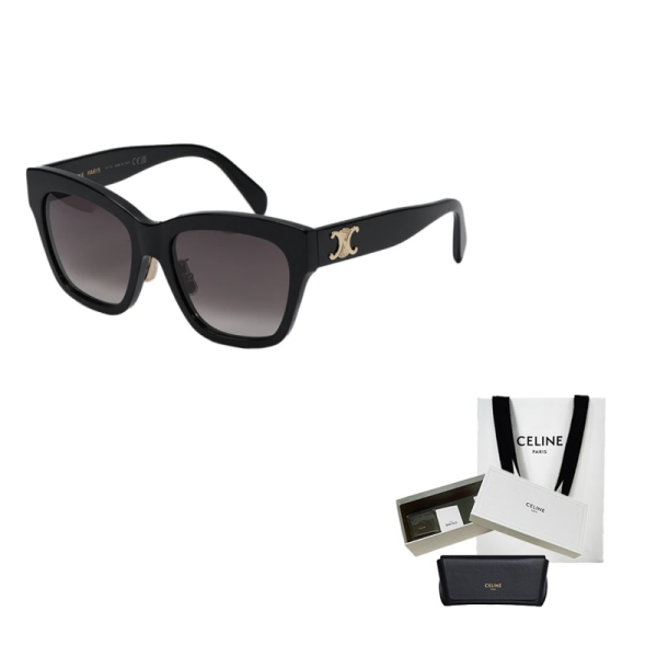 CELINE Eyewear Triomphe Cat Eye Sunglasses CL40253F01F