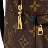 df809d1098584844954a10ce8067cc2d.jpg LOUIS VUITTON Palm Springs Coated Canvas Cow Leather Patchwork Trim Small Backpack/Mini Backpack Mini Women's Brown 新版本-M44873