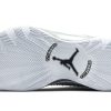 2357a84d723f4972ae6133be73fa17c2.jpg Jordan Xxxv Low Metallic Silver CW2459-100