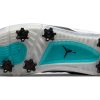 Jordan 4 Golf NRG Torrey Pines CZ2439-300